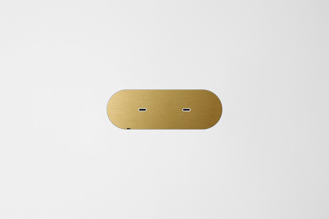 Dual USB-C brass