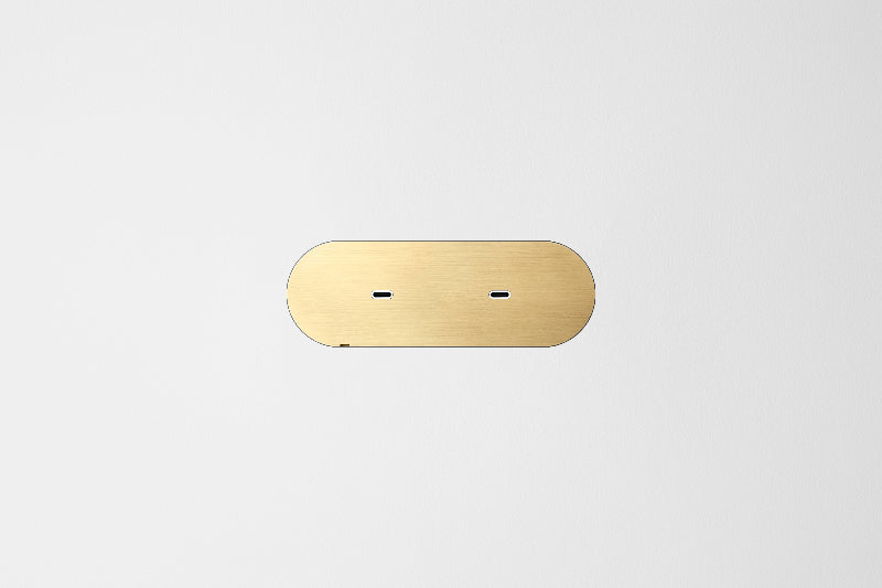 Dual USB-C Natural brass