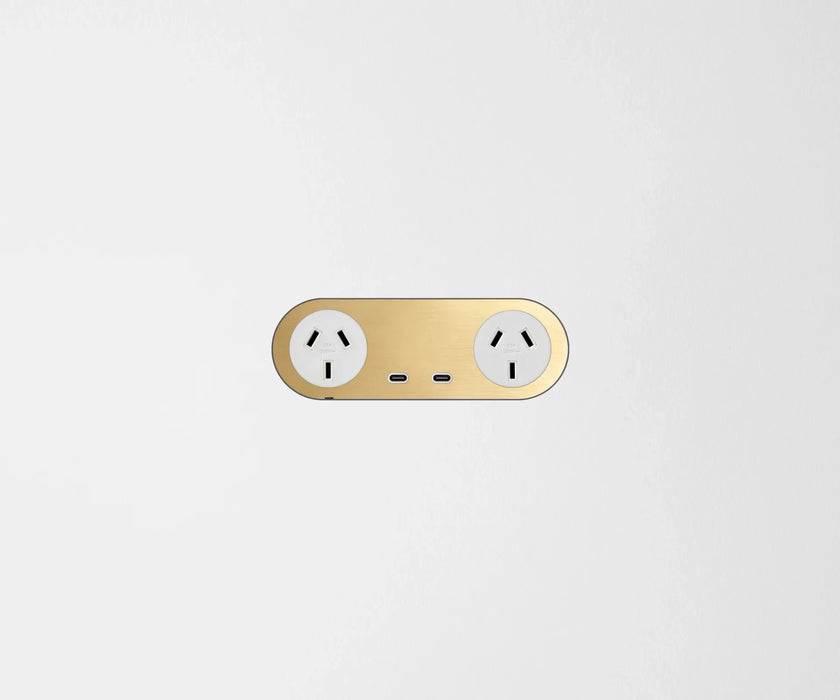 ZETR Carbon Double Powerpoint USB-C Faceplate