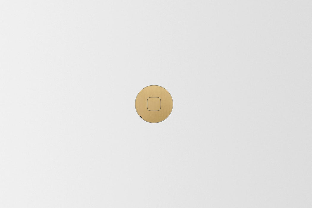 ZETR Carbon HPM switch natural brass