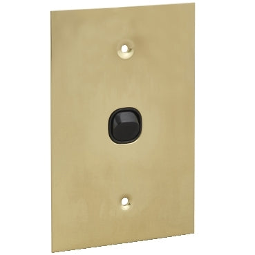 Clipsal Brass Switch
