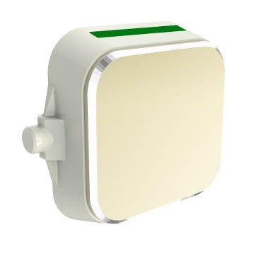 clipsal iconic styl pushbutton blank 32a cover