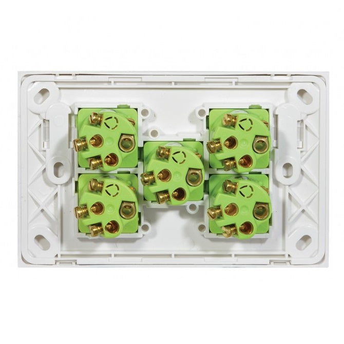 Clouded Leopard 5 Gang Complete Horizontal Switch