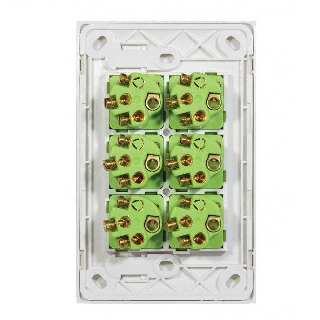 Clouded Leopard 6 Gang Complete Vertical Switch