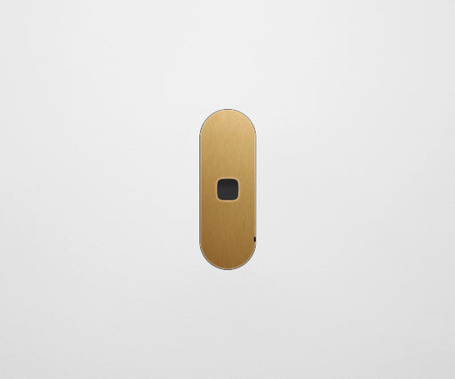 ZETR 13 Flush Series 1 Gang Carbon Nano Cover Plate Nano Brass HPM