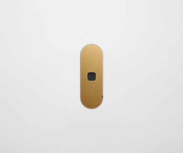 ZETR 13 Flush Series 1 Gang Carbon Nano Cover Plate Nano Brass HPM