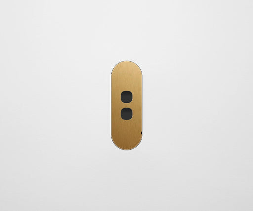 ZETR 13 Flush Series 2 Gang Carbon Nano Cover Plate Nano Brass Clipsal