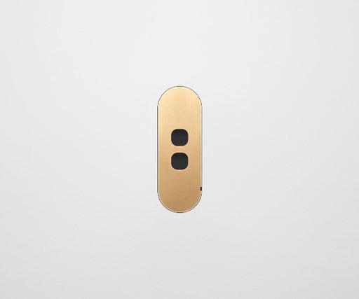 ZETR 13 Flush Series 2 Gang Carbon Cover Plate Natural Brass Clipsal