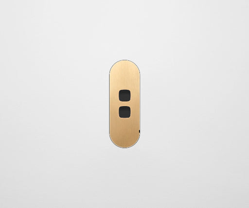 ZETR 13 Flush Series 2 Gang Carbon Cover Plate Natural Brass HPM