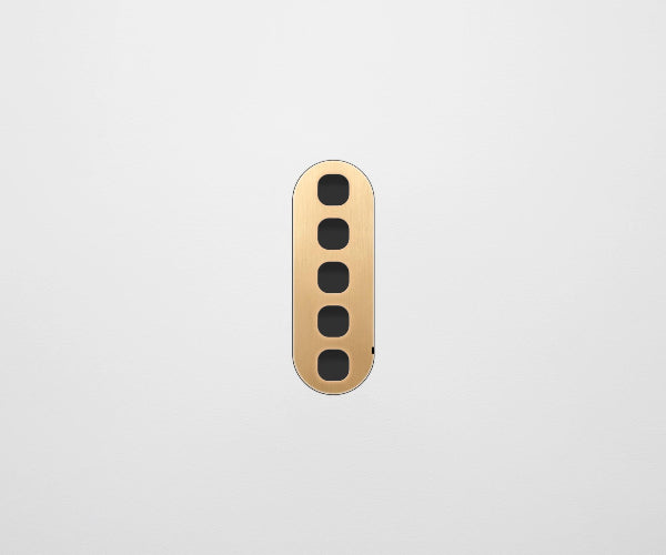 ZETR 13 Flush Series 5 Gang Carbon Cover Plate Natural Brass Clipsal