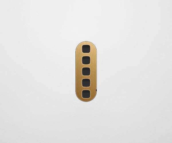 ZETR 13 Flush Series 5 Gang Carbon Nano Cover Plate Nano Brass HPM