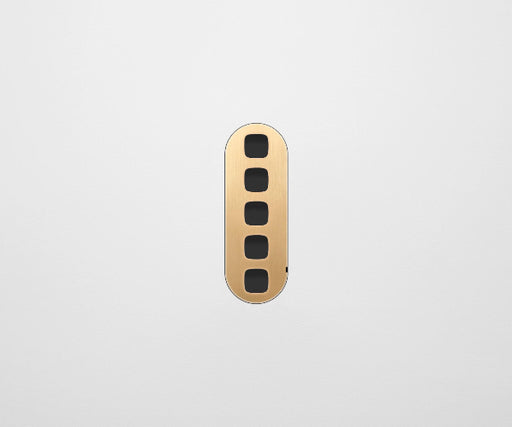 ZETR 13 Flush Series 5 Gang Carbon Cover Plate Natural Brass HPM