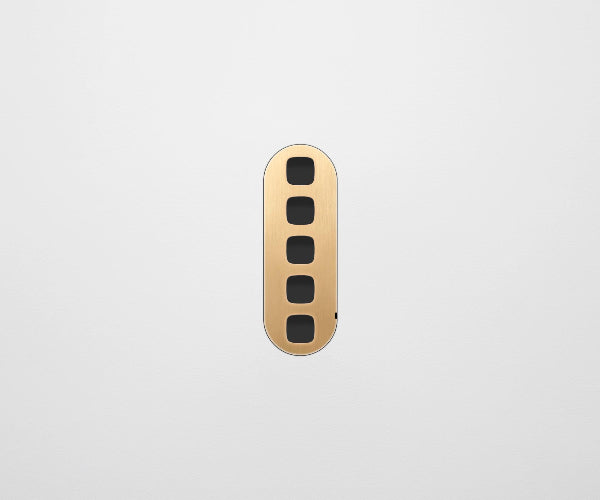 ZETR 13 Flush Series 5 Gang Carbon Cover Plate Natural Brass HPM