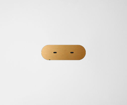 ZETR Dual USB-C Carbon Nano Brass Cover Plate Black