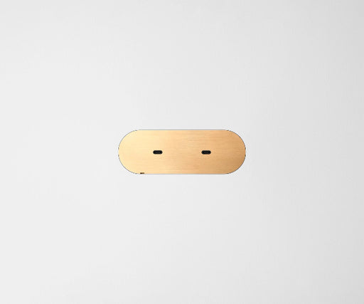 Dual USB-C Carbon Cover Plate Natural Brass black