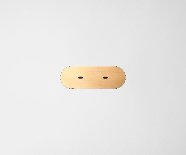 Dual USB-C Carbon Cover Plate Natural Brass black