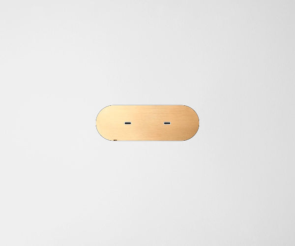 Dual USB-C Carbon Cover Plate Natural Brass White