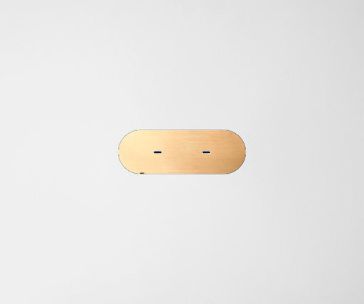 ZETR Dual USB-C Carbon Nano Brass Cover Plate White