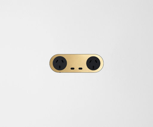 ZETR Double Powerpoint USB-C Carbon Cover Plate Natural Brass Black