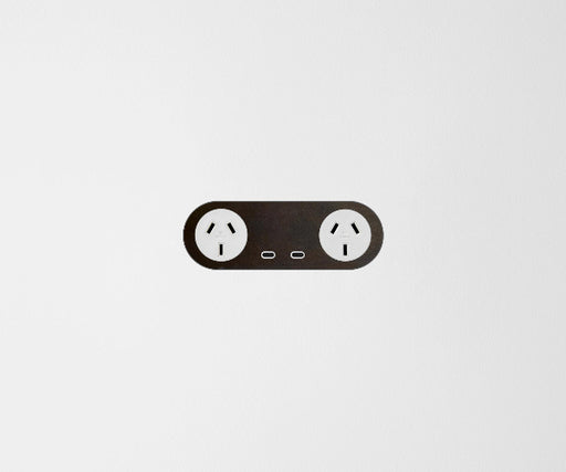 ZETR Double Powerpoint USB-C Carbon Cover Plate Bronze White