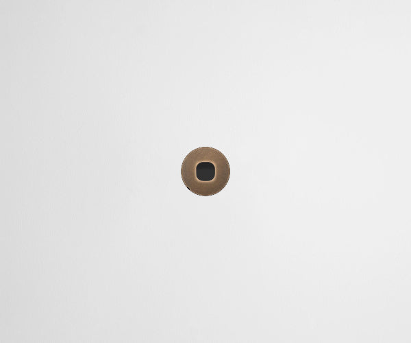 ZETR 48 Round Series 1 Gang Carbon Cover Plate Clipsal Aged Brass