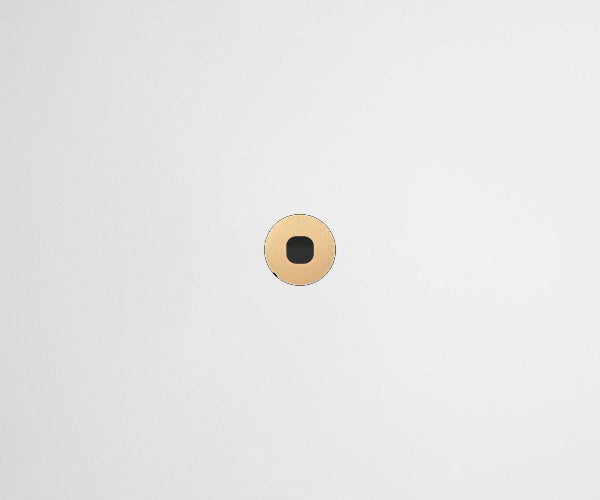 ZETR 48 Round Series 1 Gang Carbon Cover Plate Clipsal Natural Brass