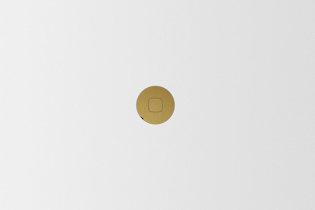 ZETR Carbon HPM switch brass
