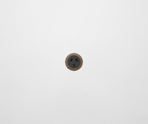ZETR 48 Carbon Black Single Powerpoint Cover Plate Aged Brass