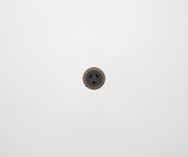 ZETR 48 Carbon Black Single Powerpoint Cover Plate With Round Pin Aged Brass