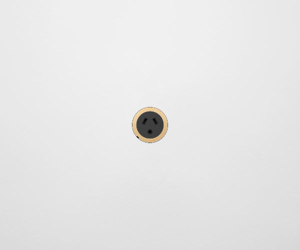 ZETR 48 Carbon Black Single Powerpoint Cover Plate With Round Pin Natural Brass