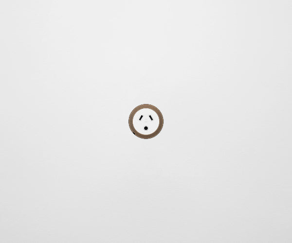 ZETR 48 Carbon Black Single Powerpoint Cover Plate With Round Pin Aged Brass