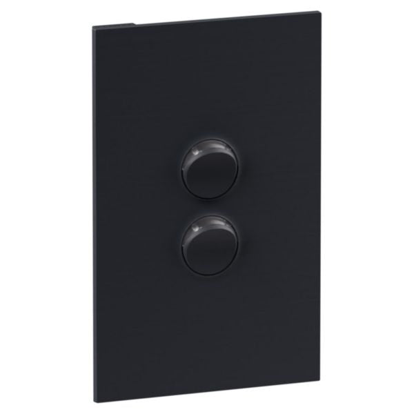 Legrand INSPYRA 2 Gang Switch Matte Grey