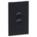 Legrand INSPYRA 2 Gang Switch Matte Grey