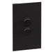 Legrand INSPYRA 2 Gang Switch Matte Black