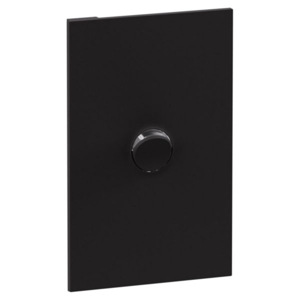 Legrand INSPYRA Cover Plate Matte Black