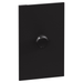 Legrand INSPYRA Cover Plate Matte Black