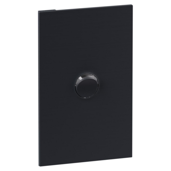 Legrand INSPYRA Cover Plate Matte Grey 