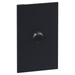 Legrand INSPYRA Cover Plate Matte Grey 