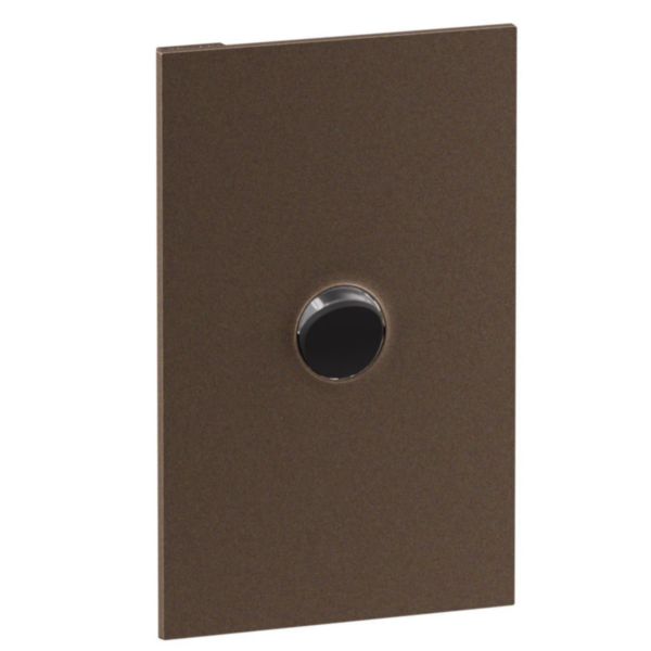 Legrand INSPYRA Cover Plate Brassed Bronze