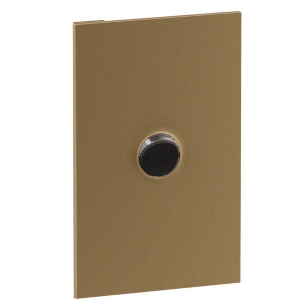 Legrand INSPYRA Cover Plate Brassed Gold