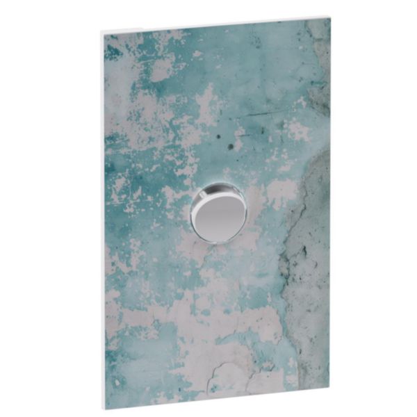 Legrand INSPYRA Cover Plate Ocean Canvas