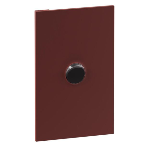 Legrand INSPYRA Cover Plate Matte Darkotta