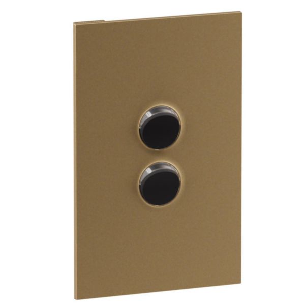 Legrand INSPYRA Cover Plate Brassed Gold