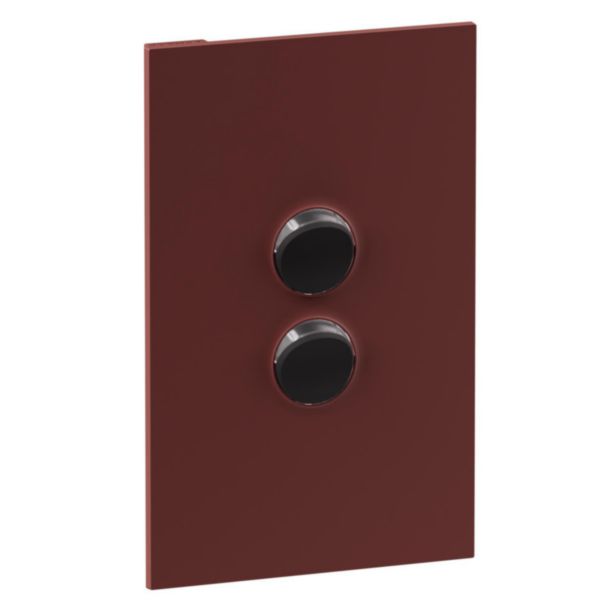 Legrand INSPYRA Cover Plate Matte Darkotta