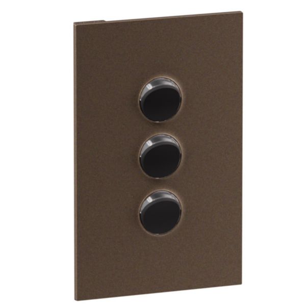 Legrand INSPYRA Cover Plate Brassed Bronze