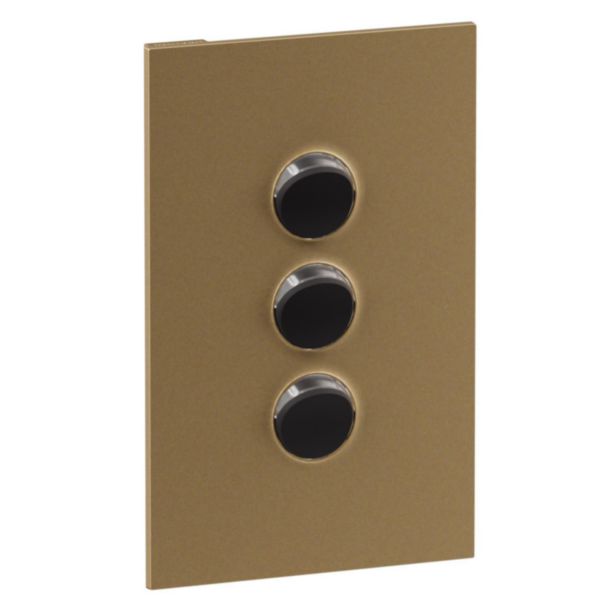 Legrand INSPYRA Cover Plate Brassed Gold