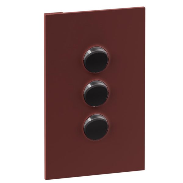 Legrand INSPYRA Cover Plate Matte Darkotta