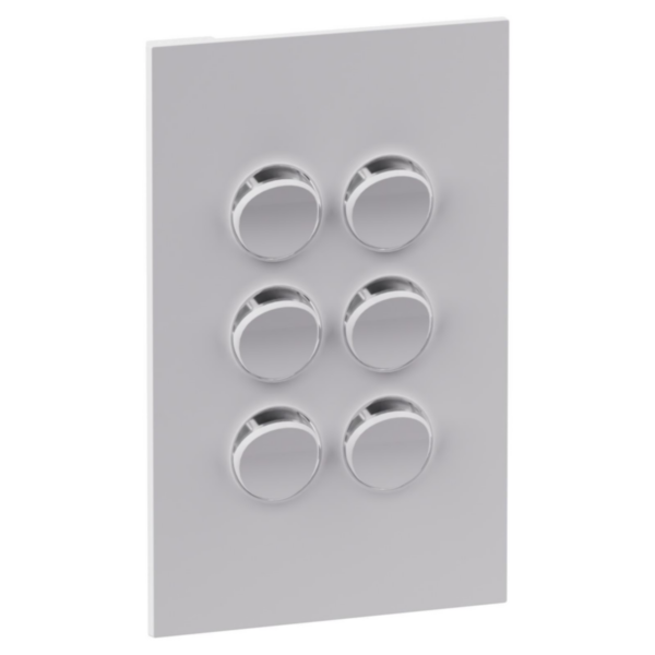 Legrand INSPYRA Cover Plate Matte White