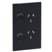 Legrand INSPYRA Double Vertical Powerpoint Cover Plate 10a Matte Grey