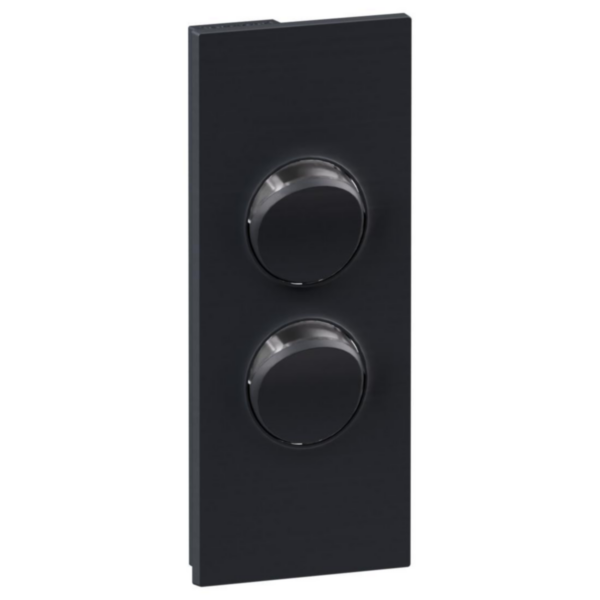 Legrand INSPYRA 2 Gang Architrave Cover Plate Only Matte Grey